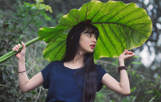 什么是DPL美容儀器？